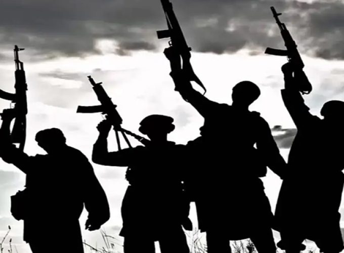 14 arrested in assam for social media post supporting taliban