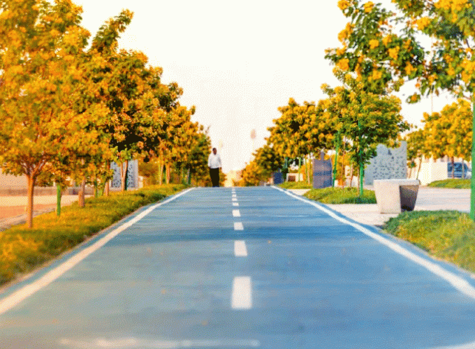 2453404-untitled-1 (2)