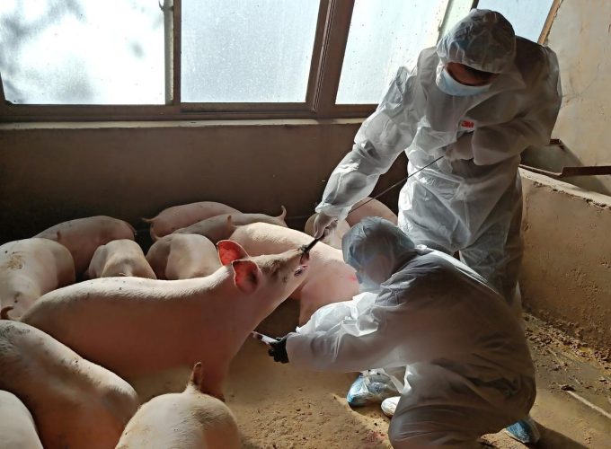 WhatsApp Image 2020-06-30 at 11.23.58 AM