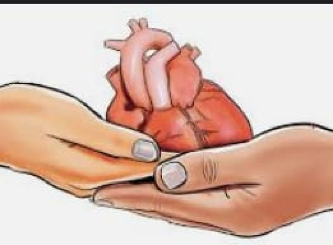 organ donour
