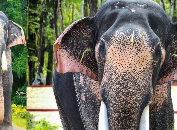 YEHn9w6lbCDt7Z5HDpXHtkJgD45MXnl6dMF4mkFP