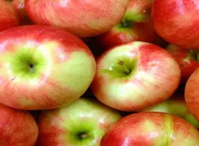 apple