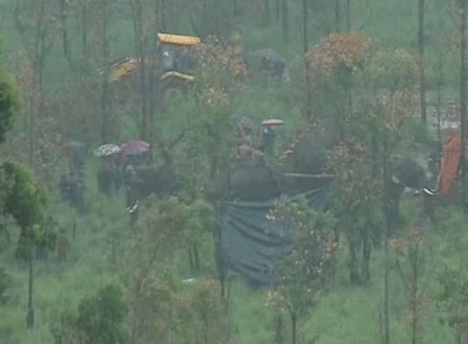 arikomban under cusudy