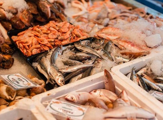 bahrain-lifts-ban-on-catching-kingfish