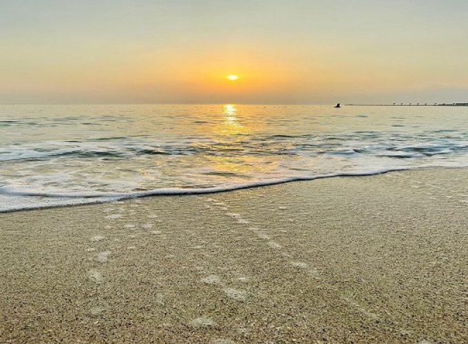 beach