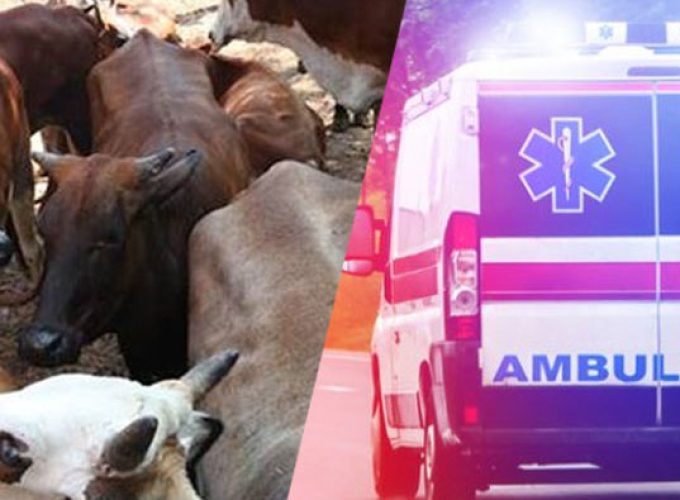 cow ambulance service the firts in the country