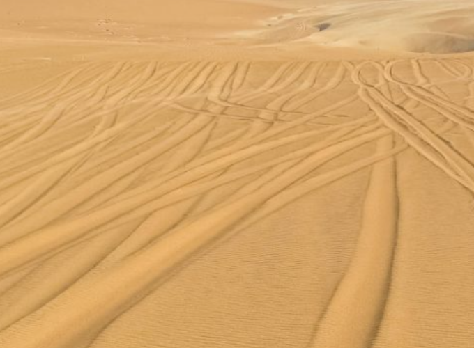 desert