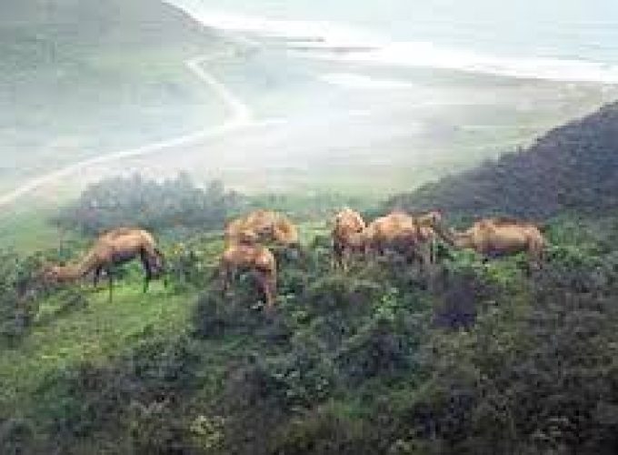 download - 2024-08-24T100755.428