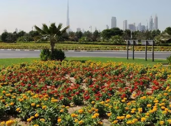 dubai-announces-car-free-areas-as-part-of-the-super-block-project
