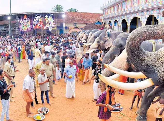 elephant-at-temple
