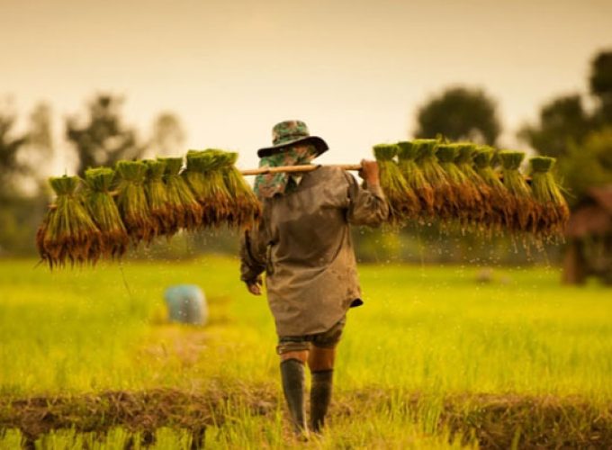 farmers new