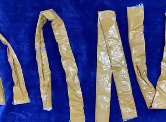 gild smuggle