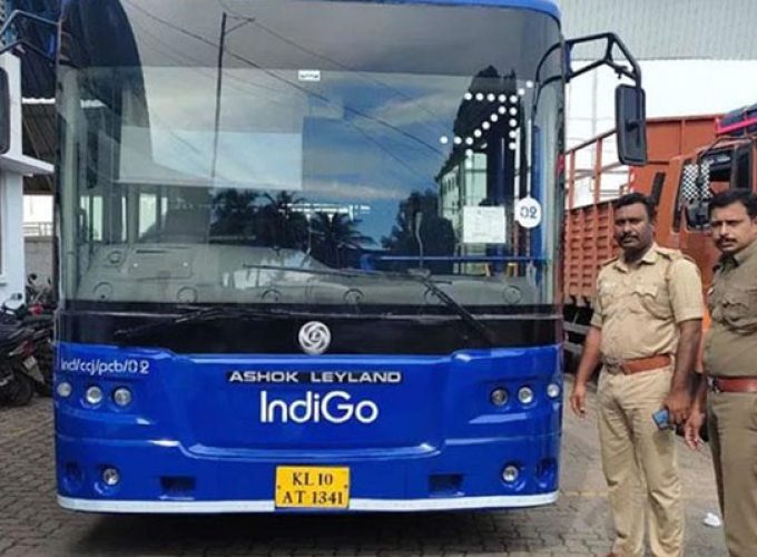 indigo