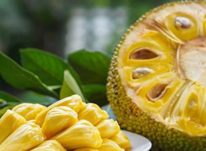 jackfruit