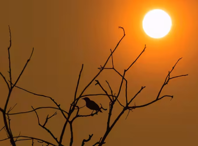 kerala-temperature-soar