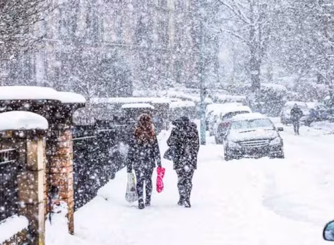 man-dies-after-tree-falls-on-car-in-uk-snowfall