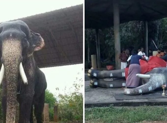 mangalam kunnu Karnan