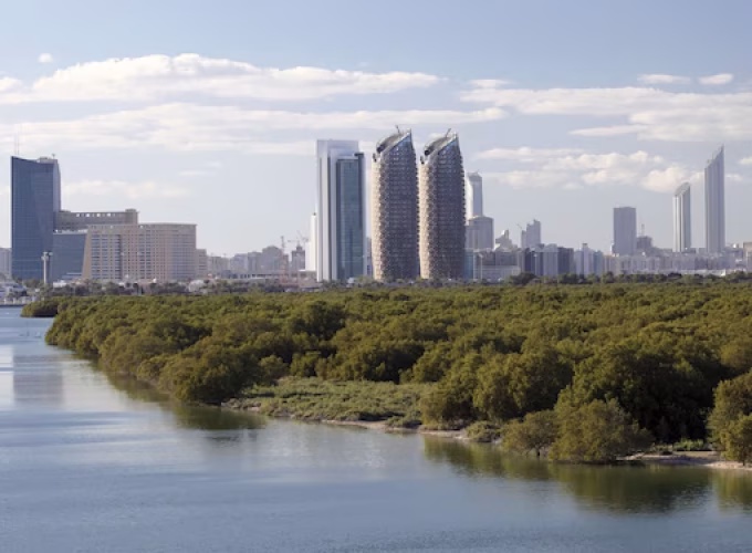 mangrove-conservation-and-restoration-conference-to-be-held-in-abu-dhabi-on-december-10