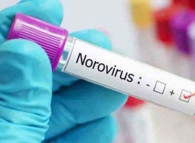 norovirus
