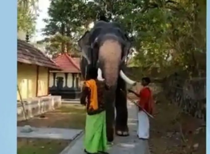 pambady sundran