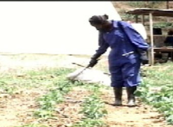 pesticide2