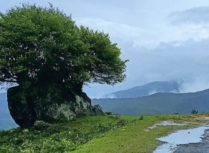 ponmudi tourism center will be closed from tuesday