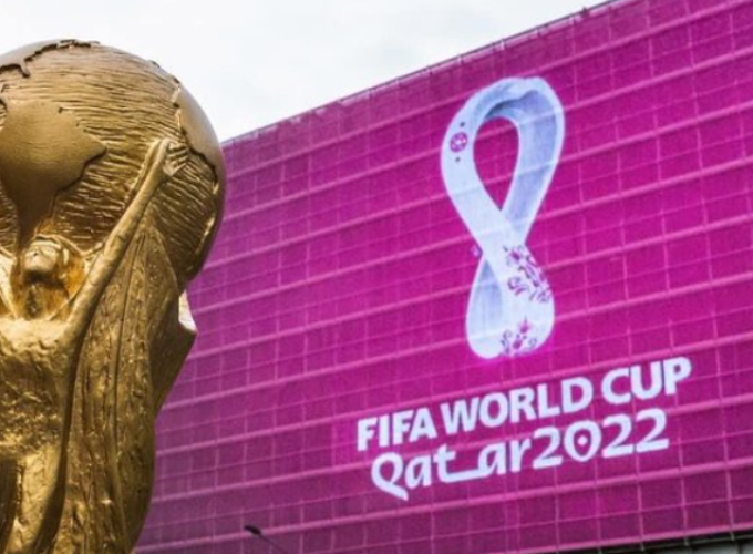 qafifa