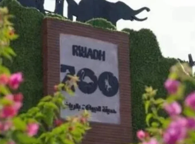 riyadh-zoo