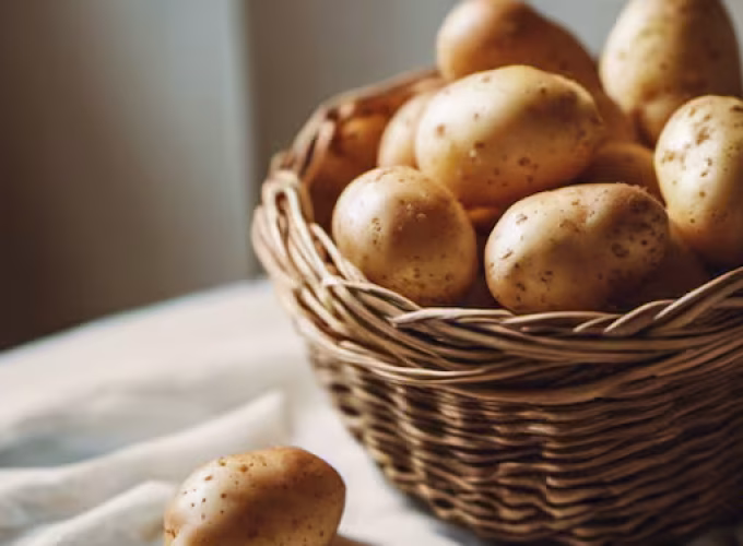 saudi-arabia-achieves-potato-production1
