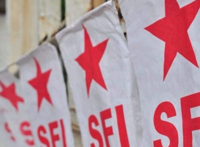 sfi new