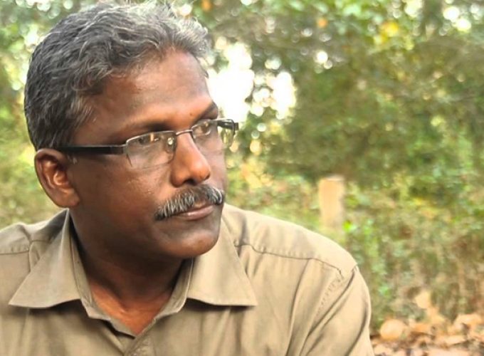 sunny m kapikkad