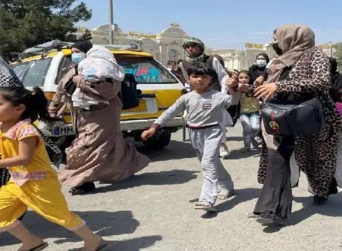 taliban 8