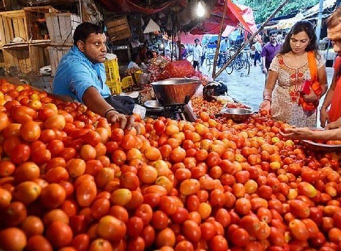 tomato