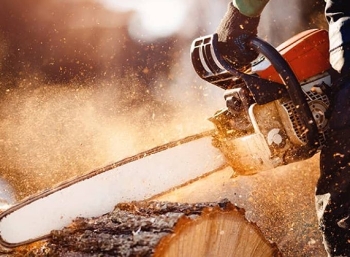 tree cutting