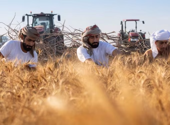 uae-job-foodsector