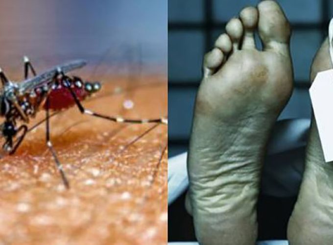 westnile