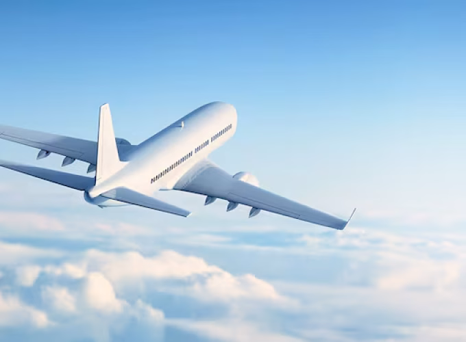 white-flight (1)