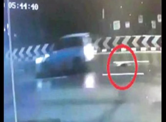 womans body falls off car