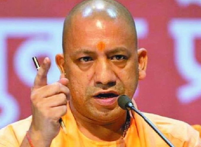 yogi